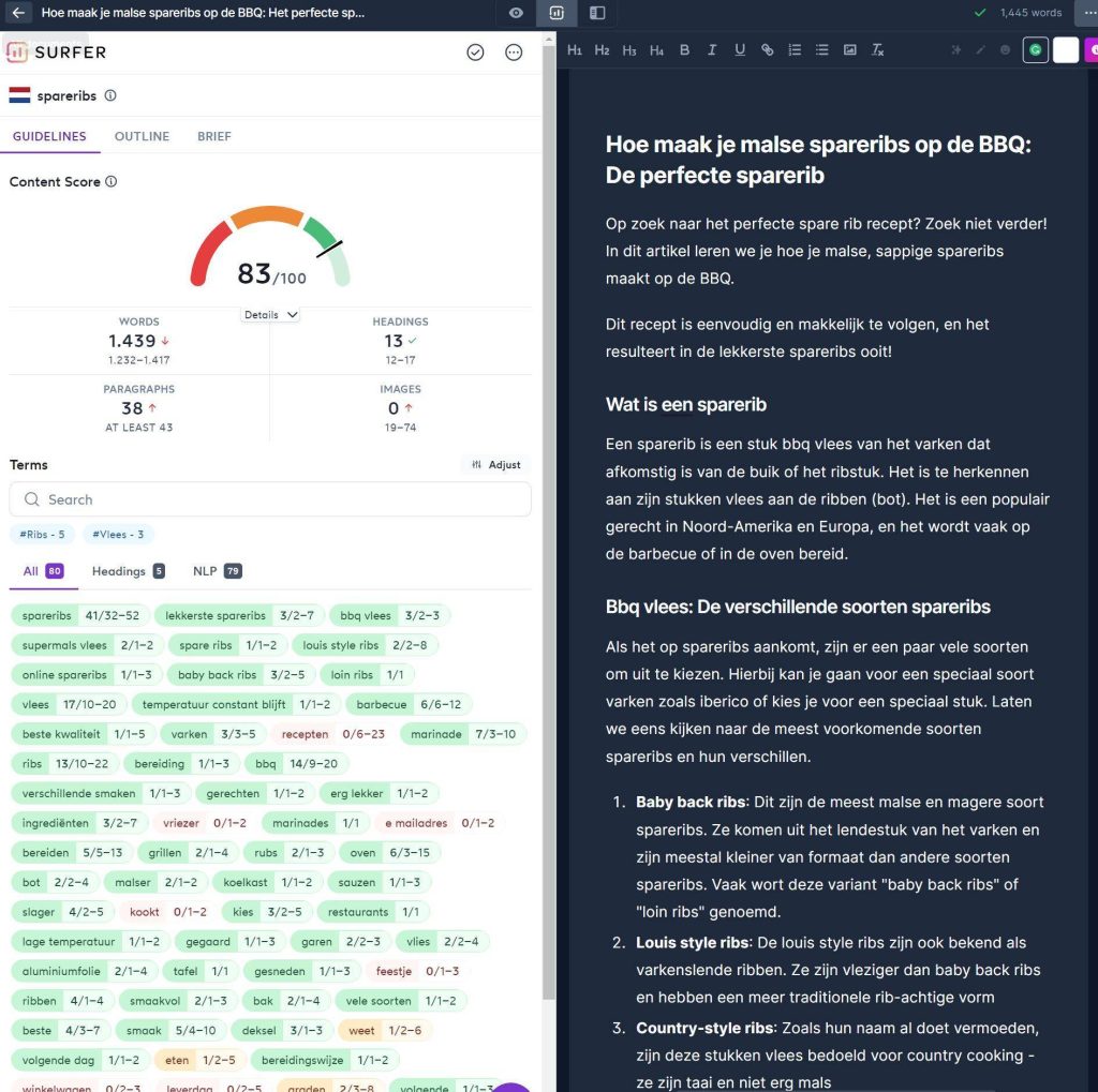 Surfer AI optimalisatie