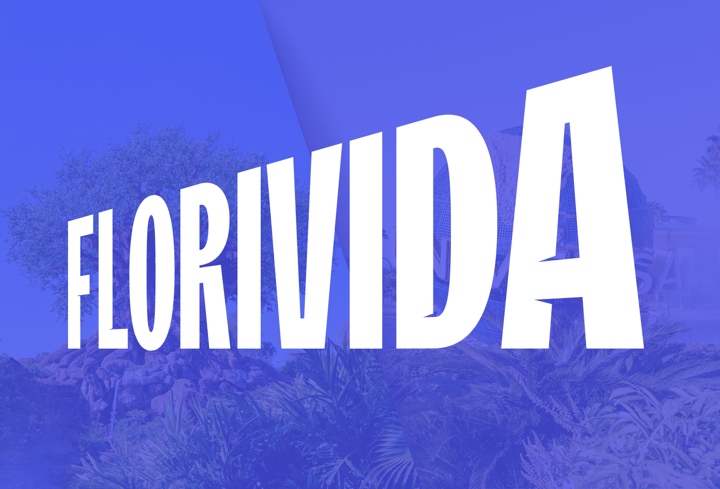 Florivida featured image